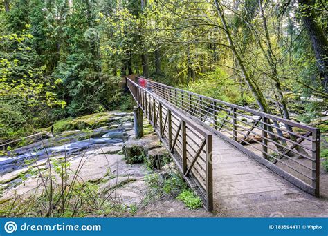 Pedestrian Bridge Over A Mountain River In A Wild Forest Stock Image