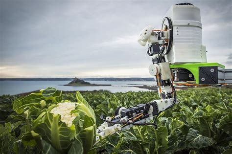 Robot Intelligenze Artificiali E Semi Smart Aiuteranno I Contadini A