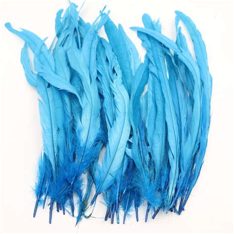 Turquoise Blue Rooster Tail Feathers 30 35cm 12 14 Inches In Feather