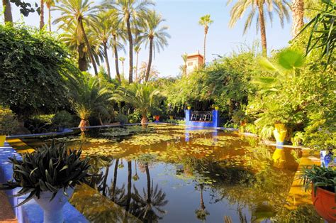 Jardin Majorelle Marrakech Morocco Cellophaneland