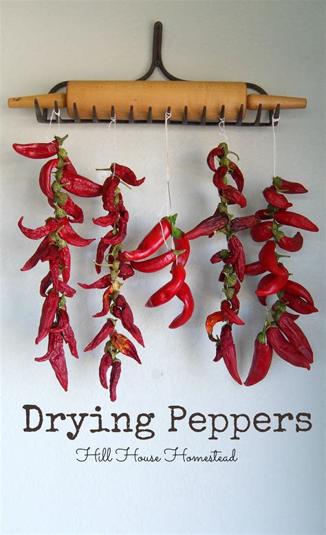 Hill House Homestead Drying Peppers