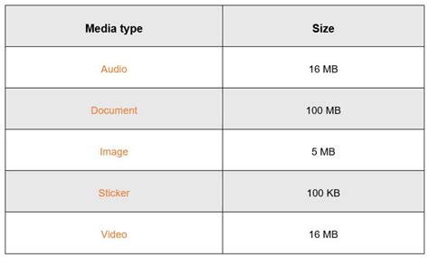 Whats The Maximum Size And Media Format Support On Whatsapp Api