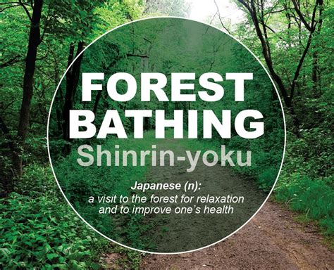 Forest Bathing Shinrin Yoku Discover Cottage Grove Mn