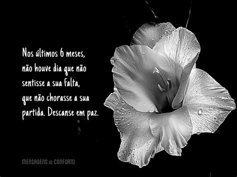 Mensagens de 6 Meses de Falecimento - Mensagens de Conforto