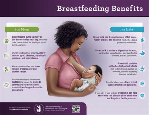 The Benefits Of Breastfeeding Breastfeeding Infographic