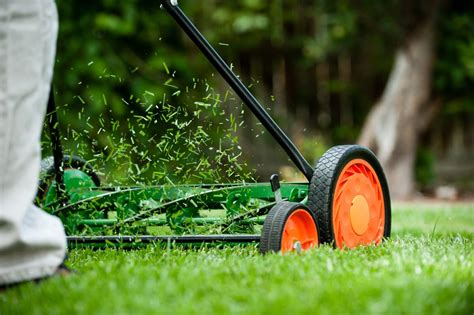 Jeden tag werden tausende neue, hochwertige bilder hinzugefügt. Ideas For Grass Clipping Uses - What To Do With Grass ...