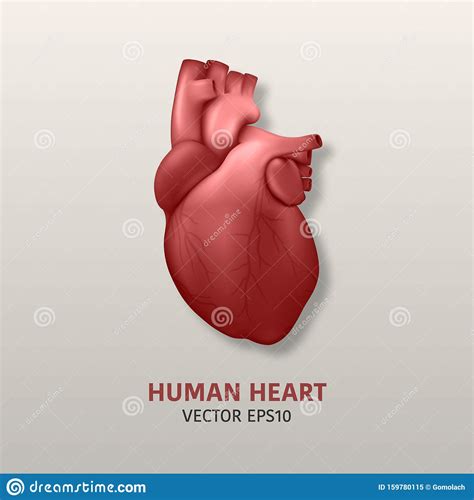 Vector 3d Realistic Glowing Health Heart Model With A