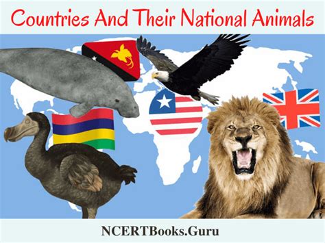 List Of National Animals Of All Countries In The World And Its