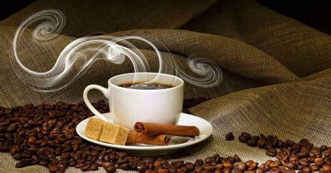 How Coffee Can Improve Your Health The Dodo