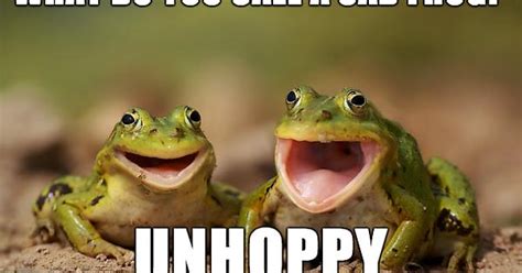 Laughing Frogs Meme On Imgur