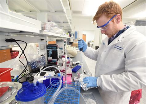 Jackson Laboratory Sees Growth In Microbiome Research - Hartford Courant
