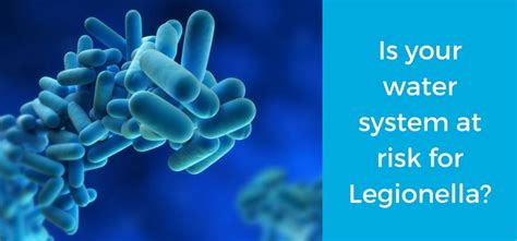 Legionella Testing Control And Outbreak Prevention Services