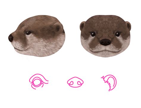 How To Draw Animals Wolverines Badgers Otters And Martens Tuts