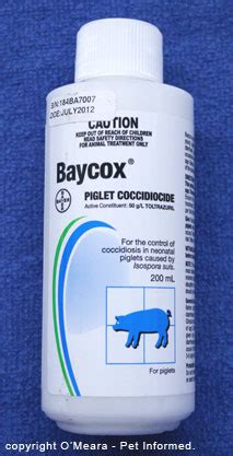 Coccidiosis in dogs and cats and other animals.