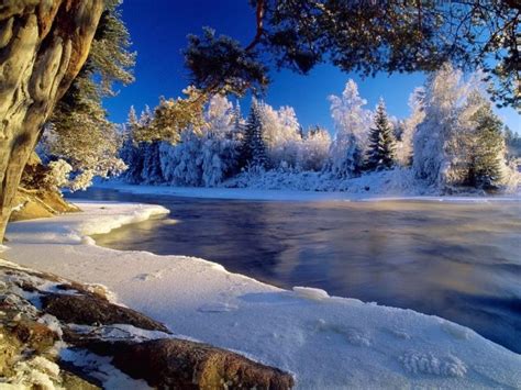 Free Download Winter Desktop Backgrounds Wallpapers For Pc 1600x1200