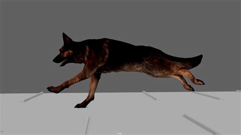 Dog will follow you and protect in fighting. Dog Run Cycle 3D Animation - YouTube