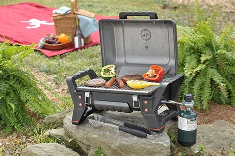 Natural gas, charcoal, and propane models available. Best Portable Propane Gas Grills Review - Top 9 Ranking ...