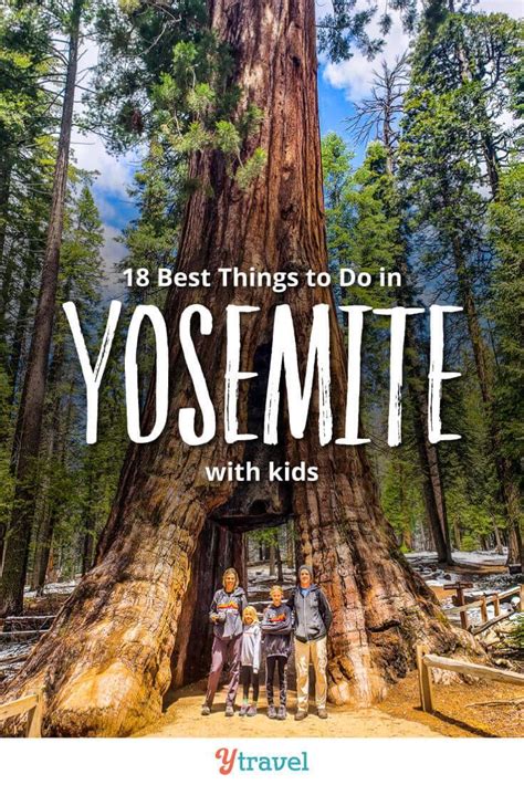 Yosemite For Kids A Five Day Itinerary Artofit