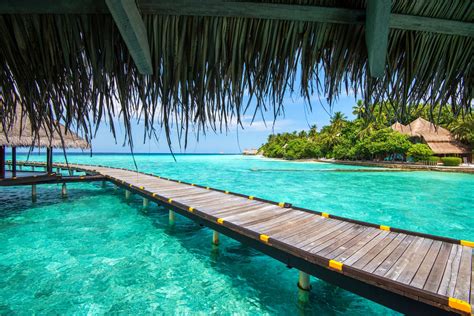 Wallpaper Landscape Sea Water Nature Beach Tourism Palm Trees