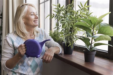 7 tipp, hogyan lehet frissen tartani a levegőt otthon! - Organikus ...