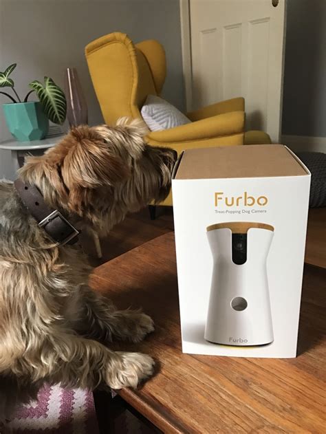 REVIEW: Furbo the Amazing Treat Tossing Dog Camera | STYLETAILS