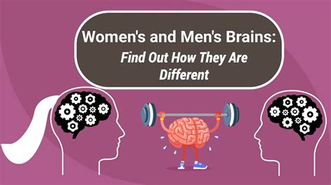Male And Female Brain How They Are Different Explained Perfectly