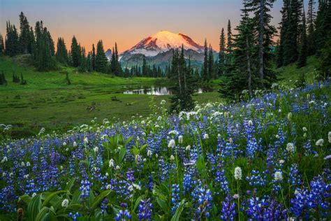 Mount Rainier Photography Landscape Photos And Prints Photos By