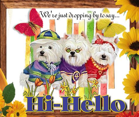 Three Dogs Say Hi Hello Free Hi Hello Ecards Greeting Cards 123