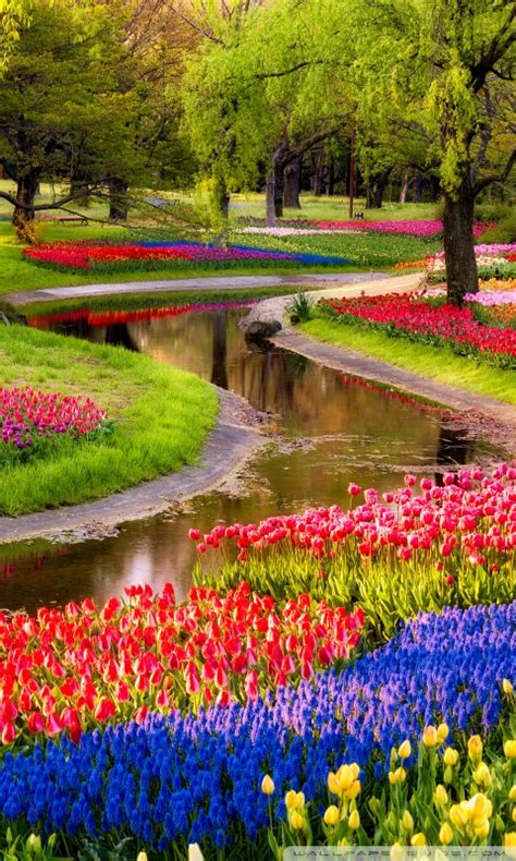 Beautiful Spring Garden Ultra Hd Desktop Background