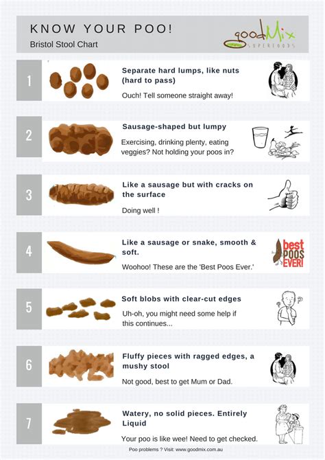Types Of Poop Appearance Color And What Is Normal Color Of Your Poop