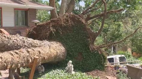 Man Impaled By Tree Saves Daughter’s Life Wbtw