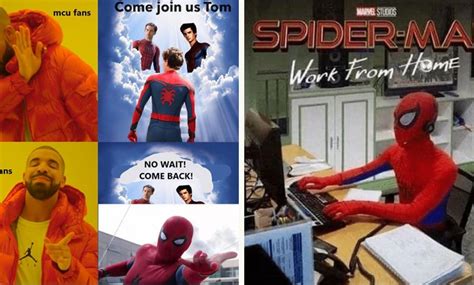 25 Best Spider Man Memes That Will Make You Laugh Out Loud Gambaran