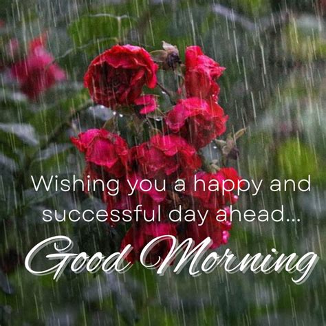 Beautiful Rainy Good Morning Hd Images For Whatsapp