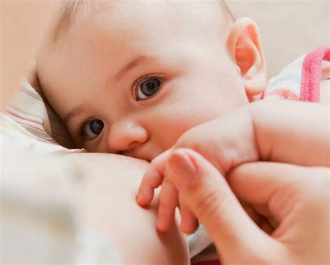 Amamentação E A Pega Baú De Menino World Breastfeeding Week