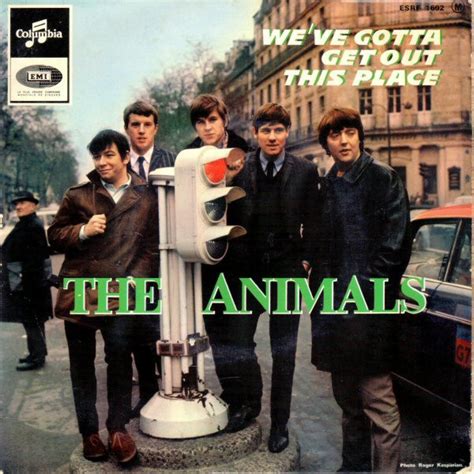 The Animals We Gotta Get Out Of This Place Animalqf