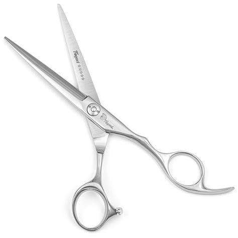 Professional Hair Scissors 6 Inch with Extremely Sharp Blades, 440C ...
