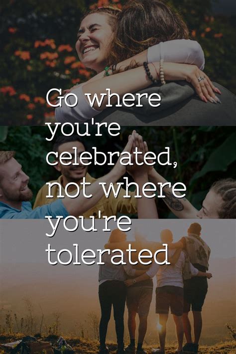 Go Where Youre Celebrated Not Where Youre Tolerated In 2021