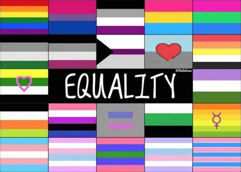 跨性别、双性恋、同性恋平权：不是少数人做得多，而是每个人多做一点 知乎