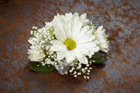 White Daisy Wrist Corsage Also Available In Yellow And Lavender By