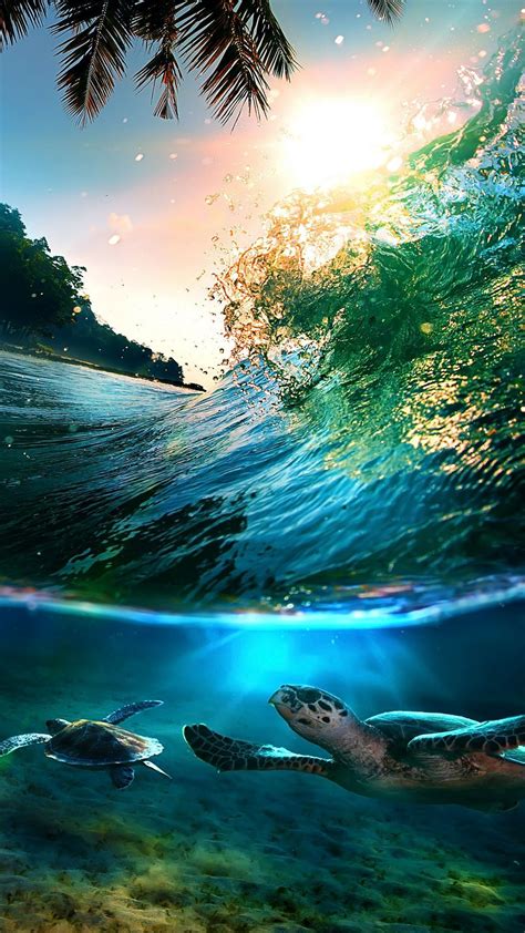 As we saw with the dash clock, the platform allows extensions. Underwater turtles - Best htc one wallpapers, free and ...