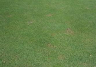 Mar 26, 2017 · 炭疽菌は、感染して未治療の場合、とても高い致死率をもつ細菌のひとつです。炭疽菌に汚染された土壌や、炭疽菌に感染した動物に接触することで、感染の可能性があります。炭疽菌に感染した場合の症状と、治療・予防を中心に解説しています。 炭疽病