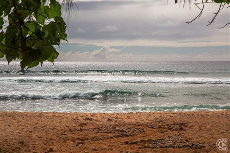 Velzyland In North Shore Oahu Hawaii Hawaiian Beach Rentals