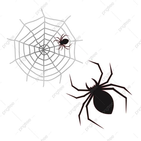 Gambar Kartun Menggambar Web Laba Laba Halloween Halloween Laba Laba