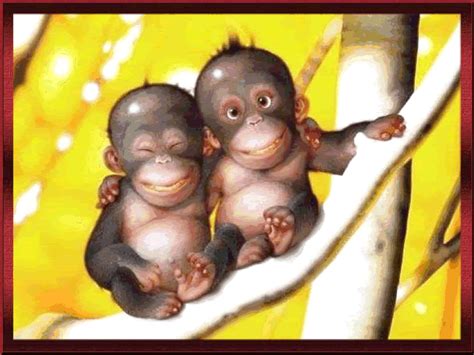 Monkey gif by sehabatku | Photobucket