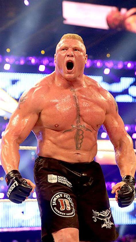 Brock Lesnar Hd 2017 Wallpapers Wallpaper Cave