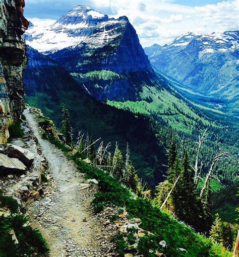 Highline Trail In Glacier National Park Best Places To Camp National
