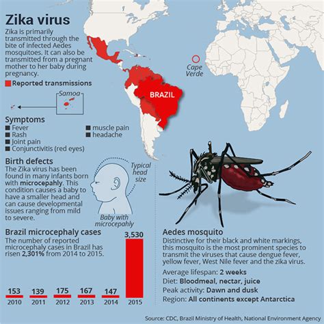 Zika Virus Looks ‘scarier Than We Initially Thought Says Cdc