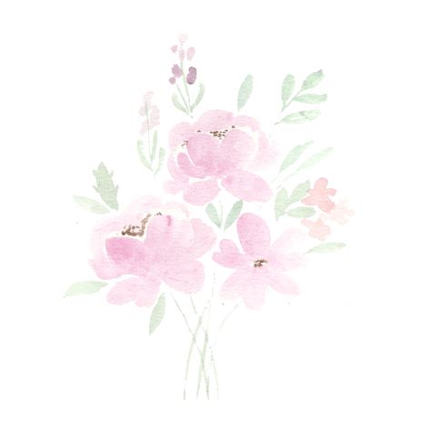 Pink Peony Flower Hd Transparent Soft Pink Peony And Wild Watercolor