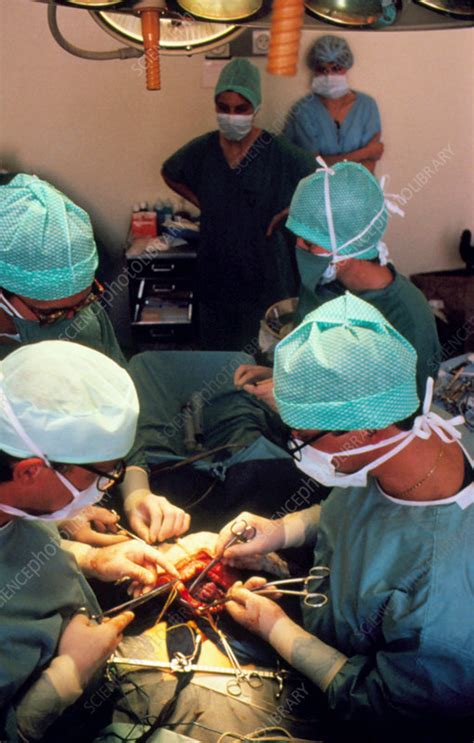 Check spelling or type a new query. Open uterus fetal surgery: fetus is exposed - Stock Image ...
