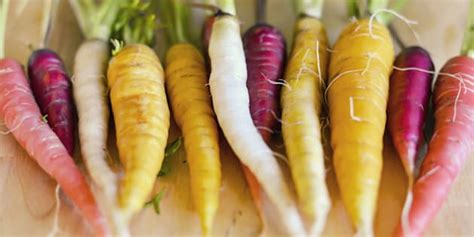 Root Vegetables A List Of Veggies That Will Make Your Meals Better